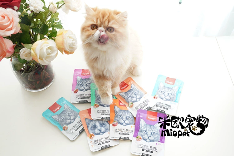 Mio Pet N nghịch ngợm Wanpy Fresh Pack Cat Snack Cat Thức ăn khô 80g / 100g Cat Bibimbap Đối tác ca hop