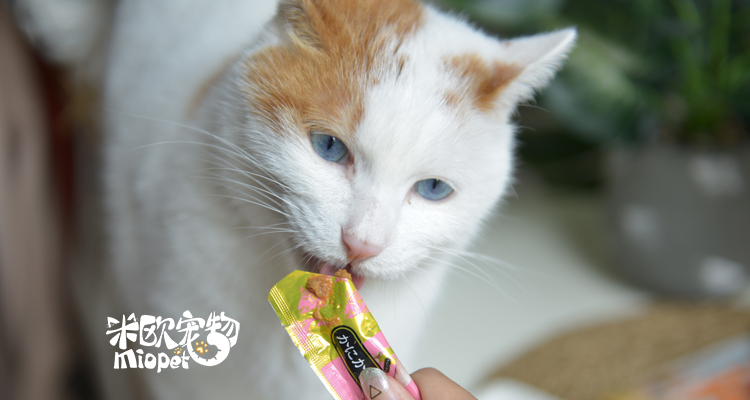 Mio Thú cưng Inabao Mèo tuyệt vời Mèo ăn nhẹ Chất lỏng dinh dưỡng Mèo Liên kết túi đơn - Đồ ăn nhẹ cho mèo cám cho mèo