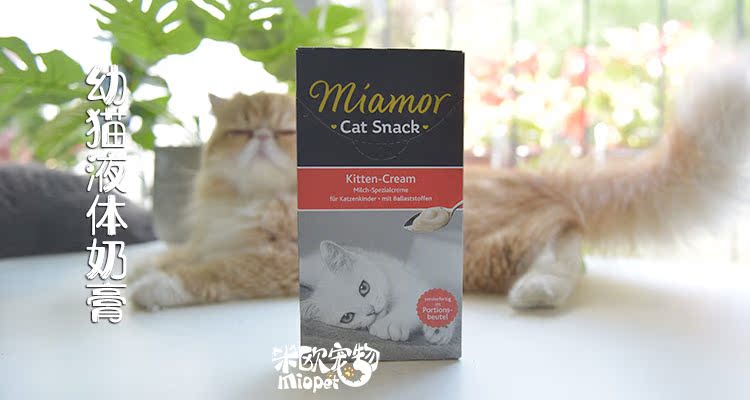 Đức Mai Ami Miami Kem thanh lý / Kem dinh dưỡng / Kem ốc quế Cat Taurine 1 hộp - Đồ ăn nhẹ cho mèo cám mèo