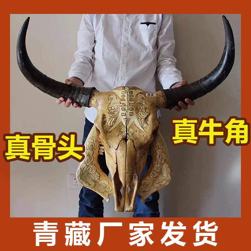 Cow Skull Craft Gift Decoration Cow Skull Specimen Cow Head Decoration Wall Hanging Cow Head Ornament Sheep Skull Specimen Cow Head Pendant