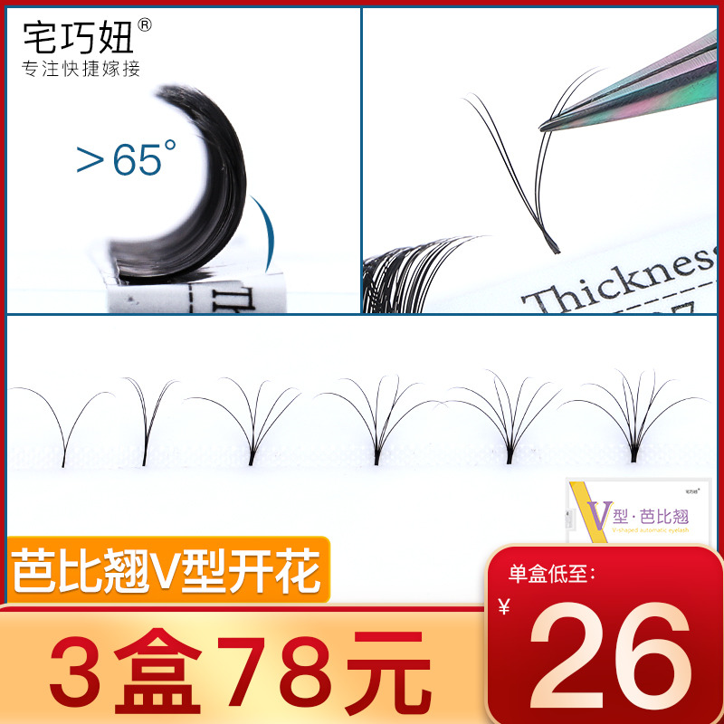 D Barbie teething 0 07V Type of one second flowering grafting eyelash yy open large flower without prose root mountain tea flower ferret