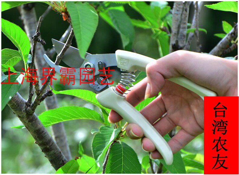 Taiwan farmyou 130A whole branch cut 7 inch pruner cut of branches and garden cut garden tools 120A scissors