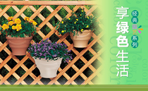 * Alice flowerpot hanging wall flowerpot ESPANER wall-mounted flowerpot 260 type adhesive hook flowerpot IRIS