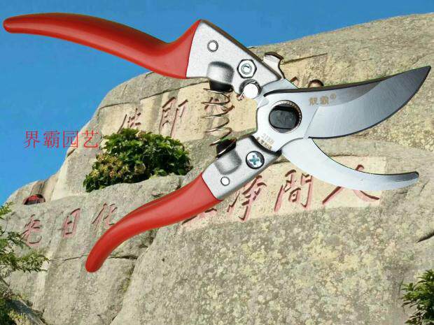 Taiwan-made Liangba brand 218B pruning shears gardening shears old farmer 218B branch shears fruit tree garden nursery scissors