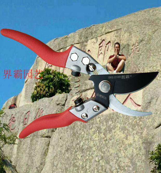 Taiwan Made Fancy Brands 218B prunes Prunes Scissors Orchard Cut Garden Shears Family Courtyard Scissors