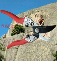 Made in Taiwan Liangba brand 218B pruning scissors Orchard scissors Garden scissors Family garden scissors