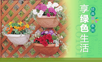 * Alice FLOWL pot FLOWL wall-mounted FLOWL 330 adhesive hook FLOWL pot 280 matching hook beige warm tan