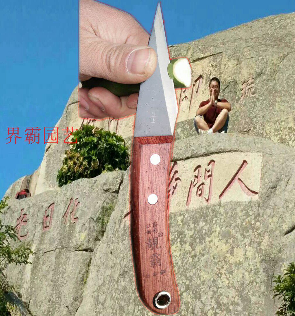Taiwan Made Beautiful Overboard Graft Knife Wood Handle Graft Golden Water City Graft Knife Bud Grafting Knife Graft Machine Fruit Tree Bonsai
