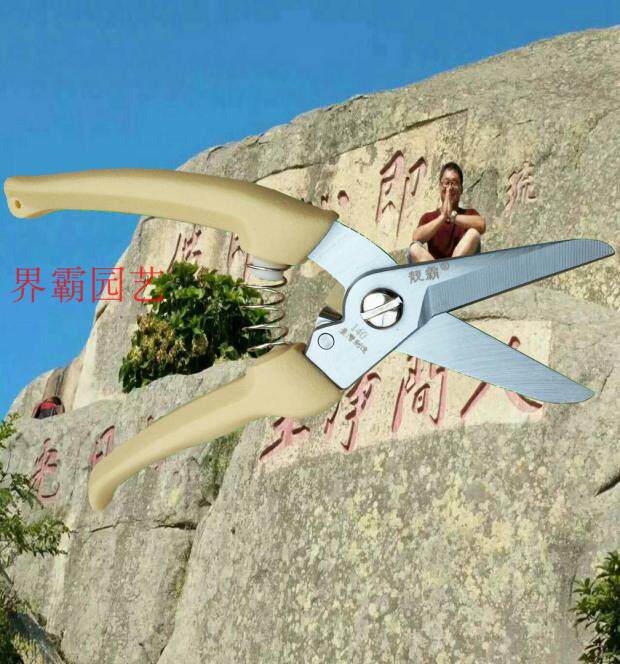 Alice 140DX scissors Liangba brand 140 branches cut flower branch scissors garden gardening scissors fruit tree scissors thick branch scissors