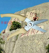 Alice 140DX scissors Liangba brand 140 branch scissors flower branch scissors Garden gardening scissors Fruit tree scissors thick branch scissors