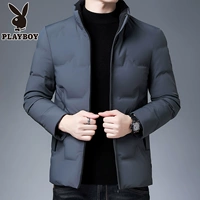 Playboy, короткий пуховик, демисезонная повседневная куртка
