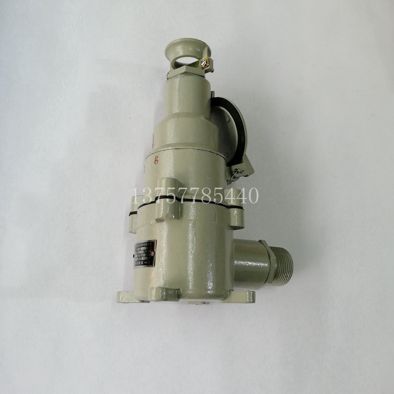 Explosion-proof bolt AC-32 380V 4 core 32A diagonal inserted flame-proof explosion-proof plug industrial socket 220V