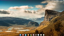 Network software services