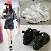 Star Yang Mi same thick-soled sandals summer webbing leather open toe buckle to increase womens shoes muffin Roman shoes