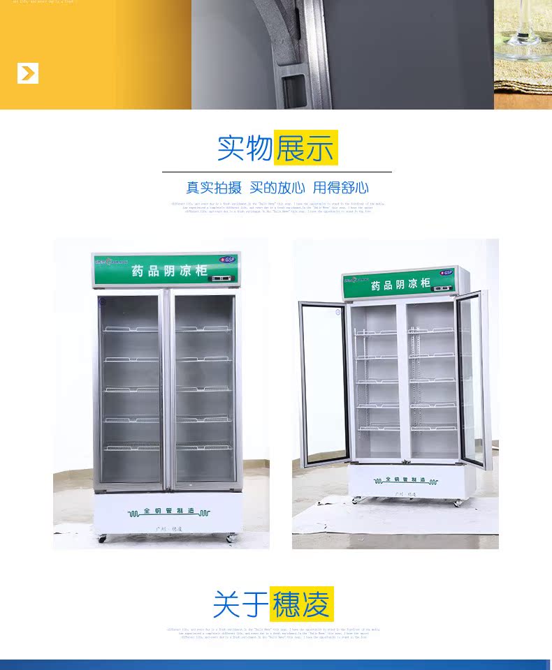 Sui Ling SL-700 cửa đôi tủ lạnh dọc tủ lạnh đơn nhiệt độ tủ lạnh tủ trưng bày thuốc thương mại - Tủ đông tủ đông giá rẻ nhất