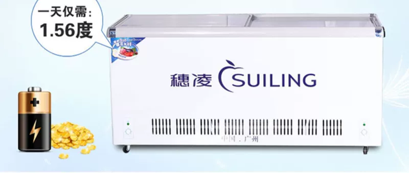 Sui Ling WT4-508II tủ lạnh đôi nhiệt độ tủ lạnh ngang tủ lạnh đôi máy nén hiển thị tủ đông - Tủ đông