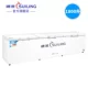 Tủ lạnh Sui Ling BD-1800 Tủ đông lạnh Tủ lạnh ngang 3 cửa Tủ lạnh đôi Máy nén khí Thương mại Tủ đông lớn - Tủ đông tủ đựng kem