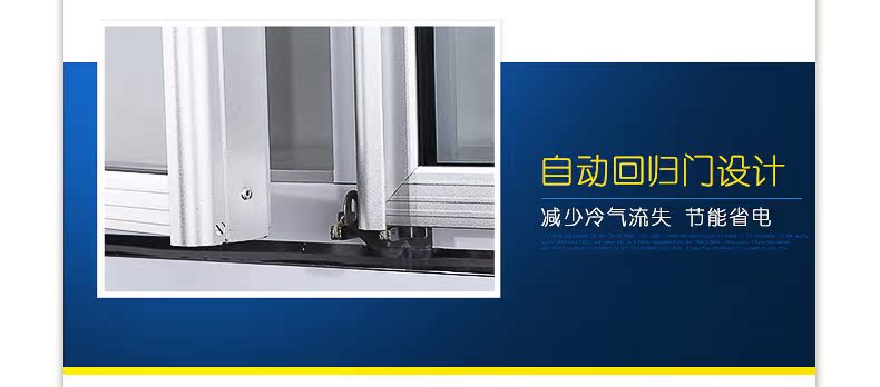 Tủ lạnh Sui Ling LG4-482M2F Tủ lạnh hai cửa thương mại Tủ lạnh trưng bày dọc - Tủ đông giá tủ đông sanaky