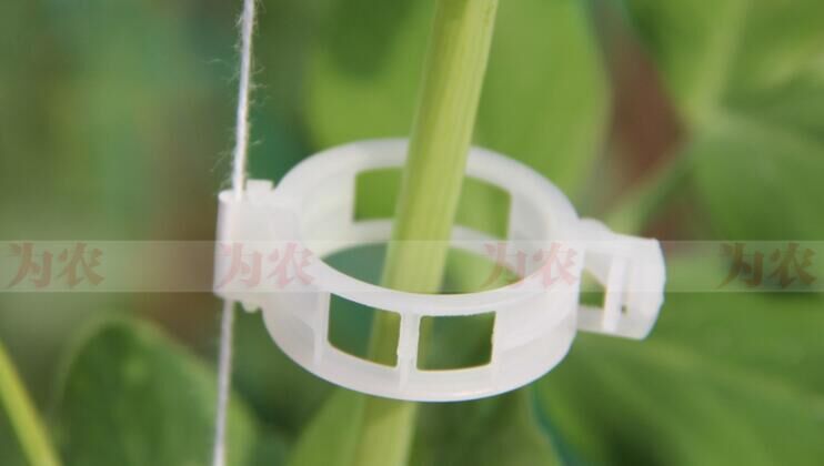 Nguồn cung cấp vườn áp lực dây leo dưa chuột gắn vine clip treo vine clip ghép clip hỗ trợ vine clip nylon mảnh vỡ túi hạt giống bộ dây và vòi xịt tăng áp lực nước
