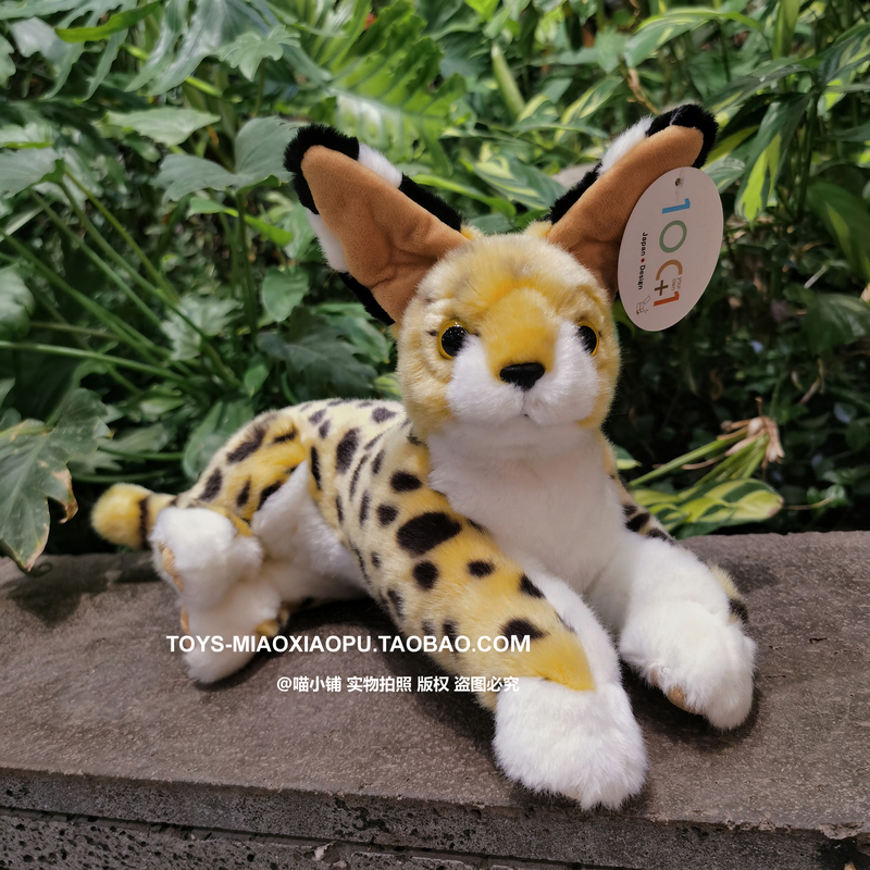 Real Shot of a Rare African Wild Cat, a Limited Edition Realistic Animal Plush Toy from the Tokyo Ueno Zoo, Japan