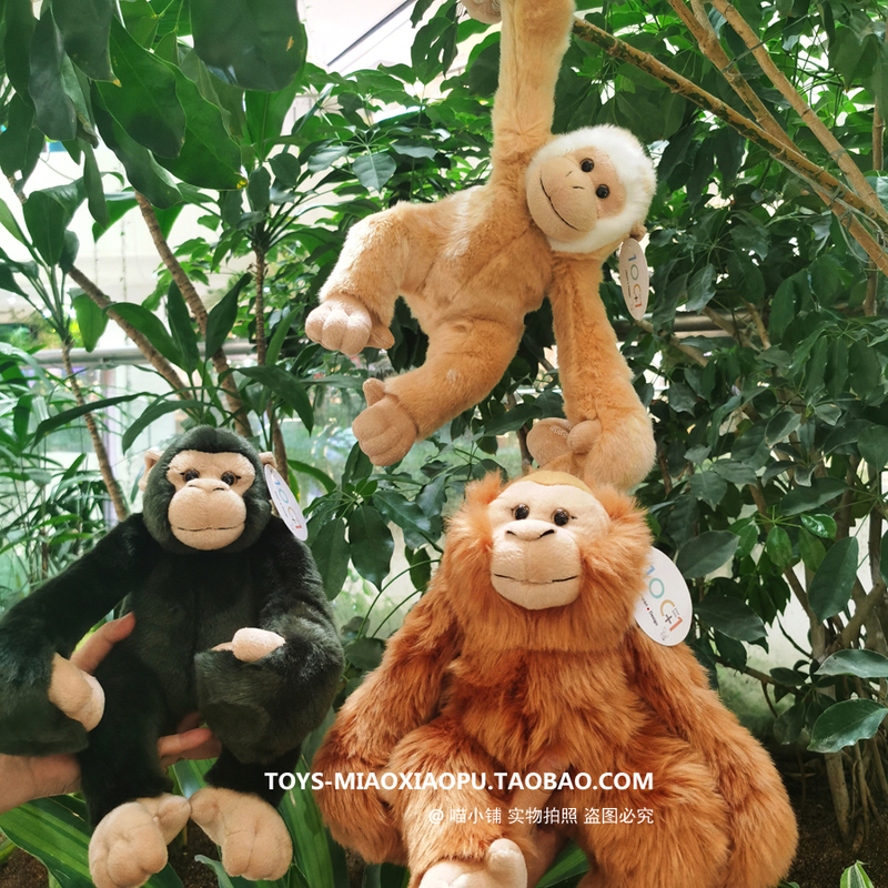 Japanese Original ~ Tokyo Ueno Zoo Limited Edition Spiritual Length Doll Doll Black Orangutan Red Hair Orangutan Long Arm Ape