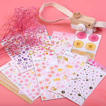 Diy handmade photo album Shadow book book Baby childrens growth Book tool accessories material Cherry Blossom series stickers