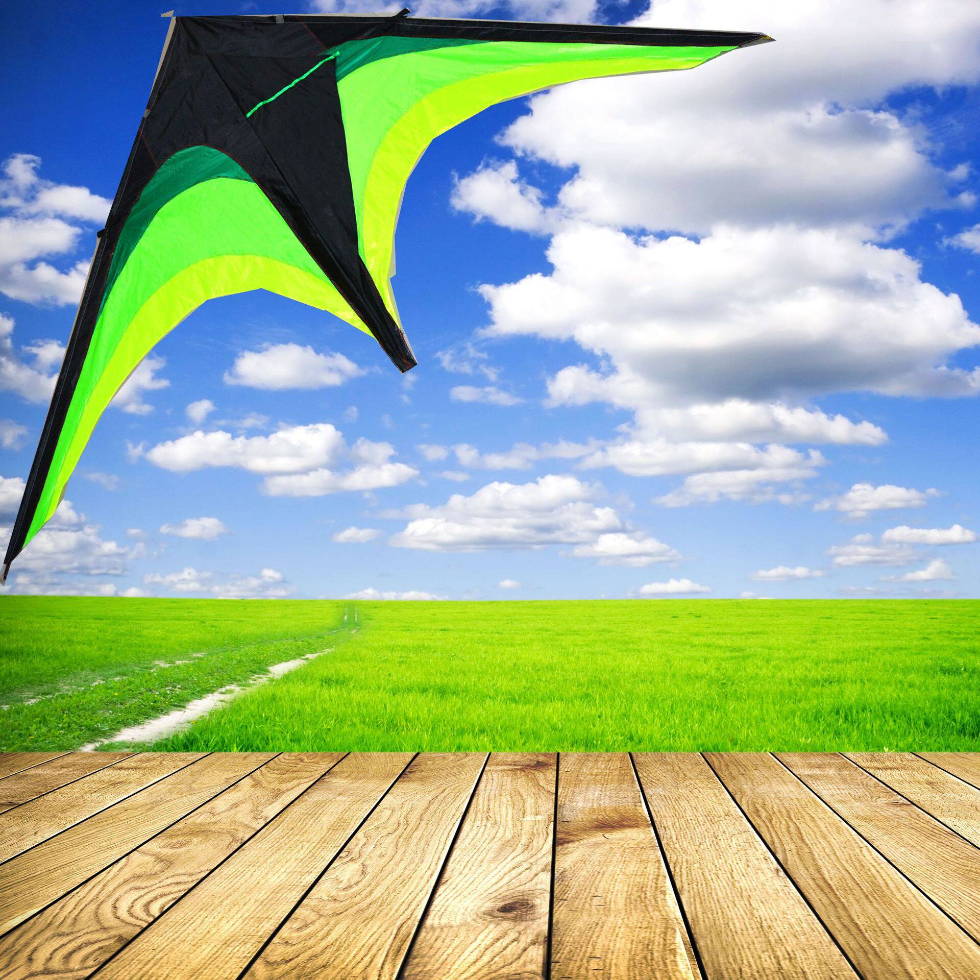 воздушный змей 风筝初学者风筝微风易飞成人儿童风筝大型3d立体大草原易飞微风筝 Mysports