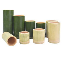 Bamboo Products Pen Holder Natural Bamboo Home Steamed Rice Bamboo Cylinder Insert Vase Bamboo Cylinder Commercial Nanzhu Brown Son Bamboo Cylinder Tube