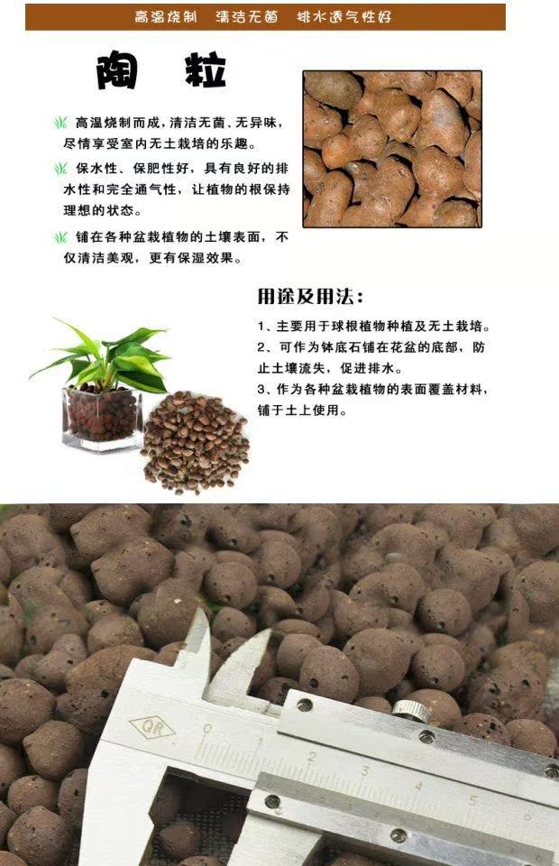 Đất dinh dưỡng Ceramsite Trồng vô cơ gốm carbon đất hấp thụ nước và nước tốt trồng dưới đất dụng cụ làm vườn chuyên nghiệp