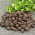Đất dinh dưỡng Ceramsite Trồng vô cơ gốm carbon đất hấp thụ nước và nước tốt trồng dưới đất dụng cụ làm vườn chuyên nghiệp Nguồn cung cấp vườn