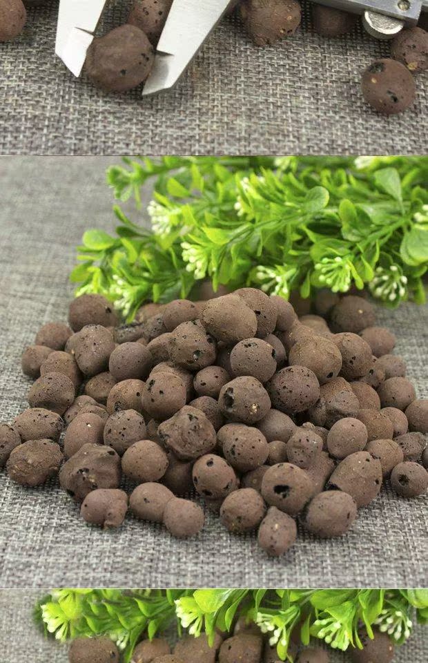 Đất dinh dưỡng Ceramsite Trồng vô cơ gốm carbon đất hấp thụ nước và nước tốt trồng dưới đất dụng cụ làm vườn chuyên nghiệp