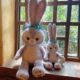ບໍລິສັດຈັດຊື້ Stella Doll M Lu