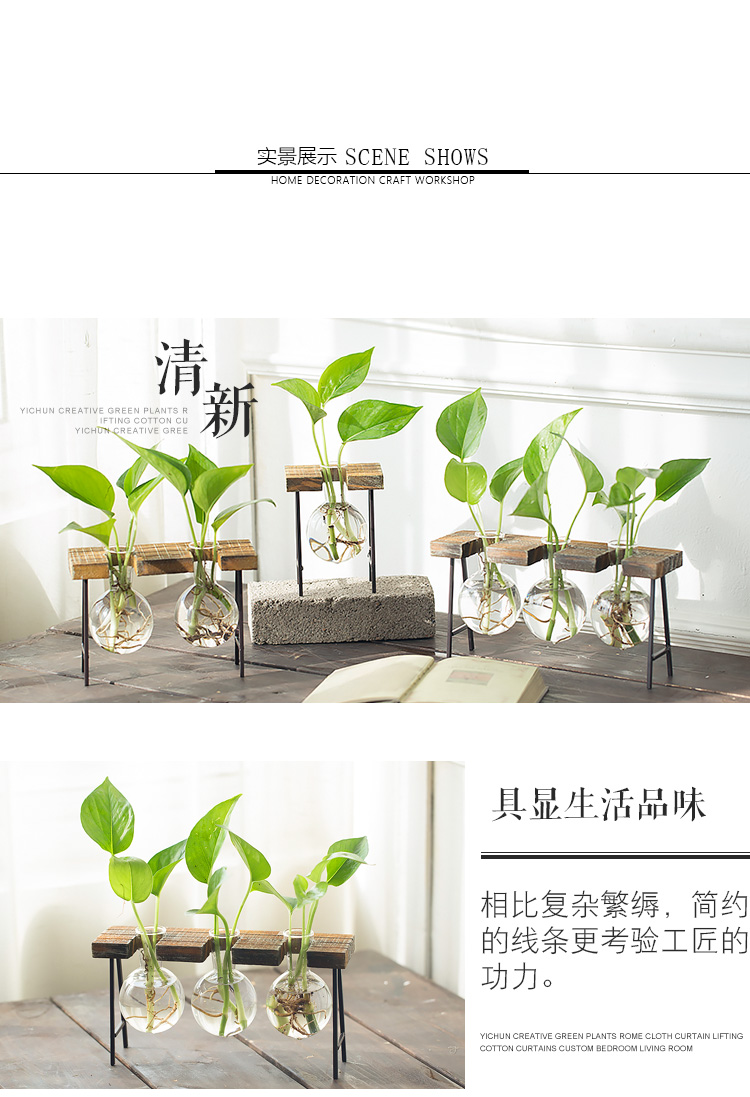 Hộ gia đình trong nhà chèn củ cải xanh sáng tạo khung gỗ thủy canh cây hoa nhỏ bình thủy tinh để bàn kèn nước - Vase / Bồn hoa & Kệ chum sành trồng cây