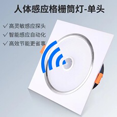 Сетка света 人体感应格栅灯 15*15led方形筒灯 网格吊顶天花嵌入式双头斗胆灯