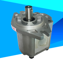 Gear pump CBF-F410 F412 5 F414 F416 F418 F420 F425 432-ALP ALPL