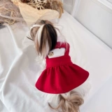 Домашние кошки и собачья юбка