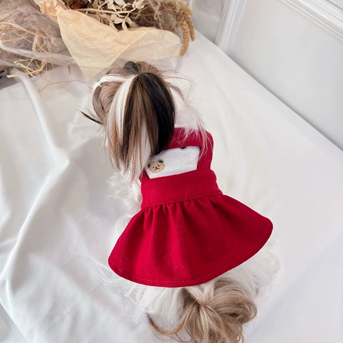 Домашние кошки и собачья юбка