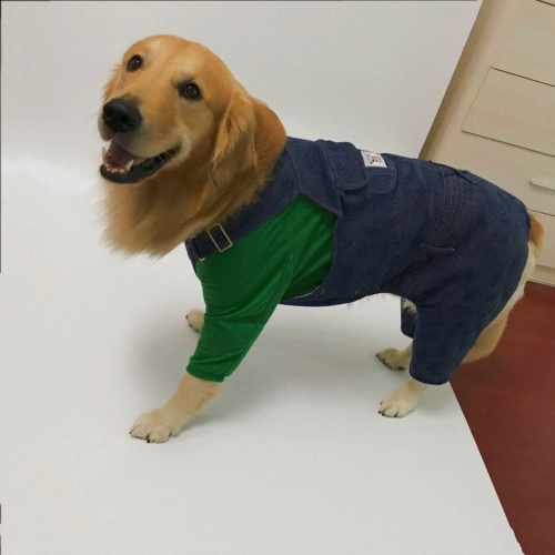 Петульная одежда образец образец плюшевый Барлема Фа Доу Золотой Мао Лиан Благи Брюки Модель