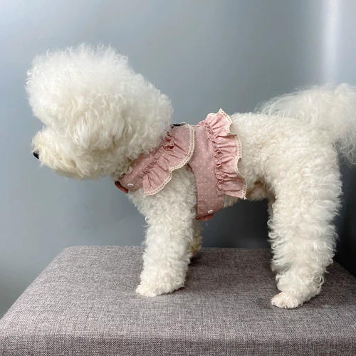 Собачья сеть красная тяга для сундука