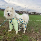 Одежда для домашних животных, пояс с бумажным рисунком, защита от грязи, живот, водонепроницаемый, защита от холода, мужской и женский нагрудник для собак Тедди корги, рисунок