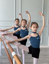 Ballet practice clothes for children and girls suspenders gymnastics suits professional body suits jumpsuits dance gauze skirts summer art examination suits