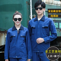 Королевский синий спрятанный набор хлопка с синими синими воротничками