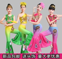 Trang phục múa cho trẻ em Dai Dance Trang phục múa chim Công chúa Váy đuôi cá Trẻ em Trình diễn quốc gia Quần múa cổ điển áo bé trai