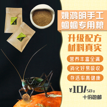 Yao Hongming grasshopper food feed grasshopper grain oil gourd food grasshopper grain live bamboo lacewings