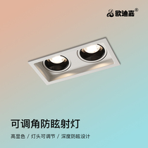 Spotlight led smallpox Embedded home Dining Room Bedroom Kitchen book room Double head bucket liner shop cob bore lamp No main lamp