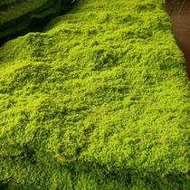 Simulation Moss Lawn Artificial Green Moss Fake Turf Green Decoration Shop Wall Poture Micro Landscape Diy