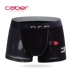 Caber / Calbury cặp đôi đồ lót thanh niên boxer nữ tam giác mod bông bông gợi cảm quyến rũ đồ lót nam đồ lót triumph Cặp đôi