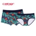 Caber / Calbury couple fashion Thời trang nam boxer cotton tóm tắt quần lót nữ gợi cảm