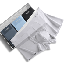 Anjiren Summer Thin Mens Underwear Boys Ice Silk Seamless Boxer Briefs Boxer Shorts Antibacterial Cotton Crotch