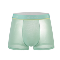 Antarctic Ice Mesh Mens Underwear Boxer Briefs Mens Boxer Briefs Boys Summer Thin and Breathable